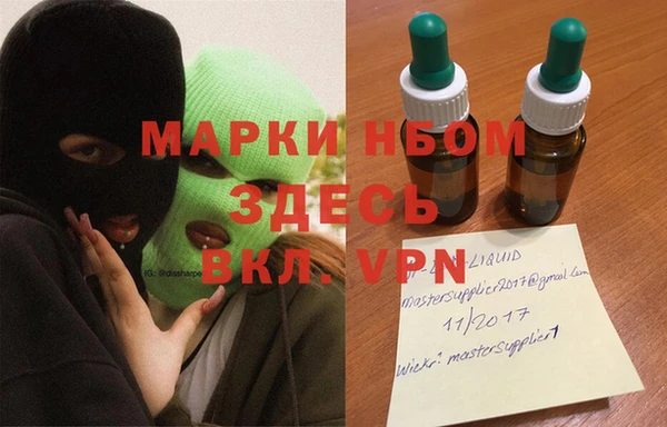 стаф Зерноград