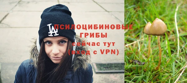 прущие крисы Заволжск