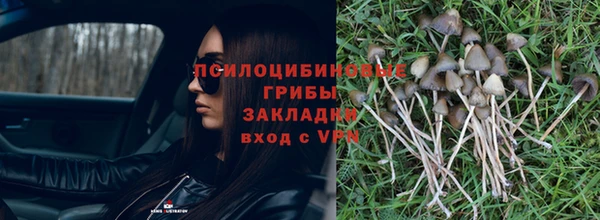 мет Инта