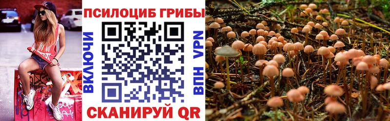 Купить закладки  Горно-Алтайск  Галлюциногенные грибы ЛСД 
